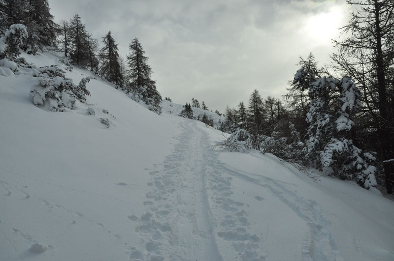 #3 La Platte : Belle ambiance en sortie de forêt. La Platte : Belle ambiance en sortie de forêt.