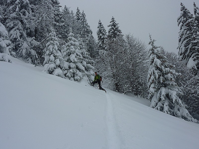 #4 montée : on suit la lisière montée : on suit la lisière