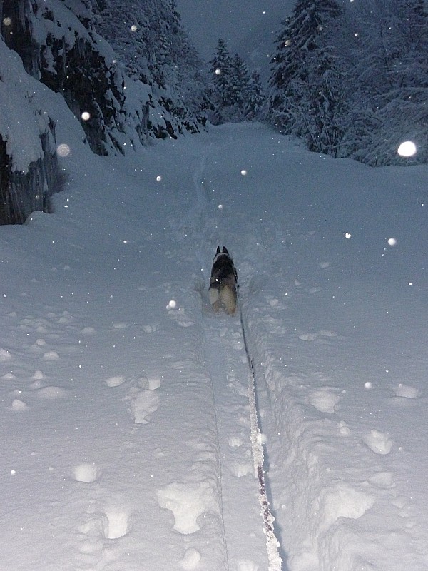 #8 piste forestière de descente : A la tombée du jour, p piste forestière de descente : A la tombée du jour, p'tit moteur en action!