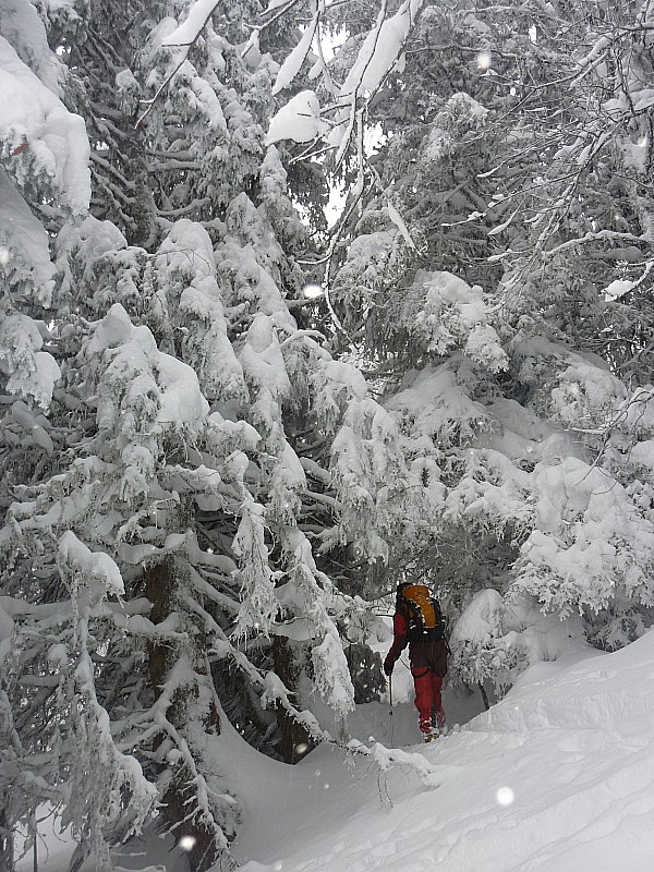 #7 danger! : risque de chute de neige du toit... danger! : risque de chute de neige du toit...