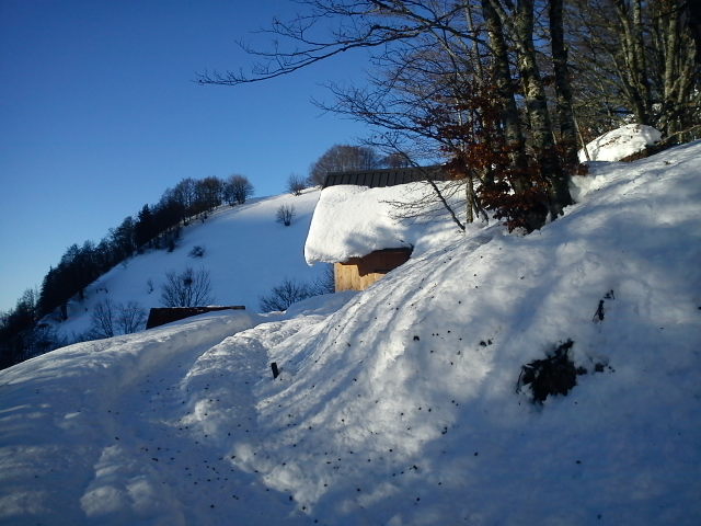 #4 Chargieu : oh le jolie petit chalet . Chargieu : oh le jolie petit chalet .