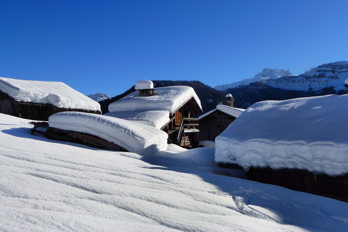 #1 Le Chatelard (1412 m) : Une petite idée de l Le Chatelard (1412 m) : Une petite idée de l'enneigement ...