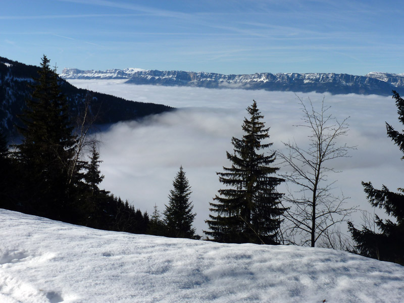 #3 La belle mer de nuages !!! avec la chartreuse comme une ile La belle mer de nuages !!! avec la chartreuse comme une ile