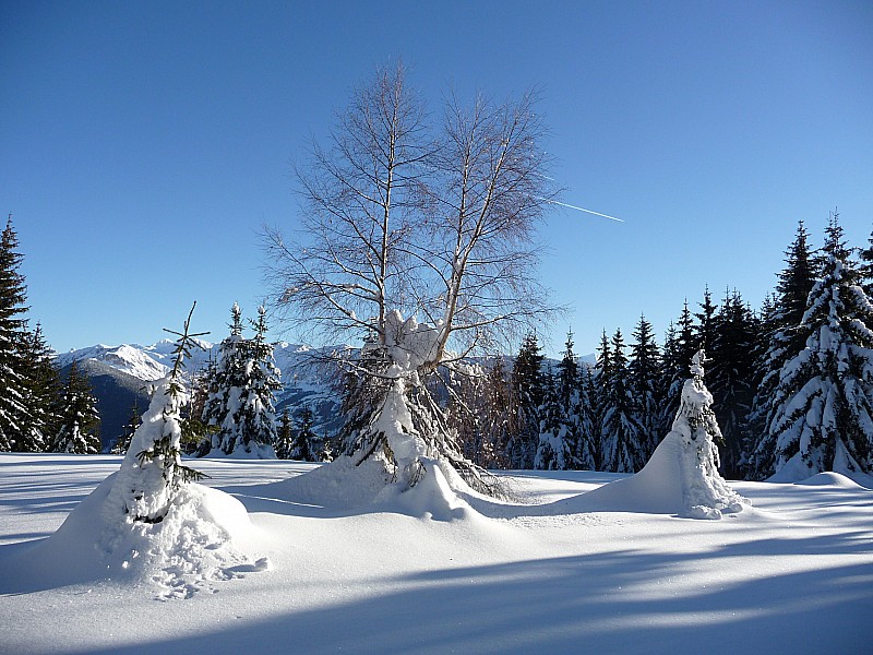 #5 Bonhommes de neige Bonhommes de neige