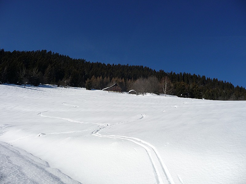 #8 Prés du Mt. d Prés du Mt. d'en haut : lourd mais skiable