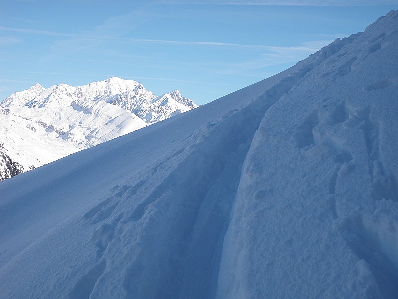 #5 le Mont : ça trace le Mont : ça trace