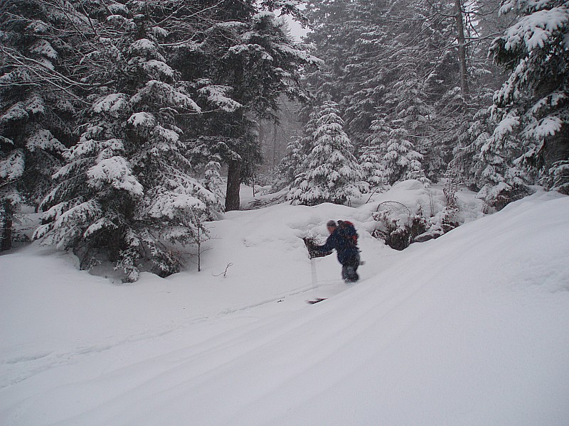#7 descente : La forêt n descente : La forêt n'est pas mal non plus