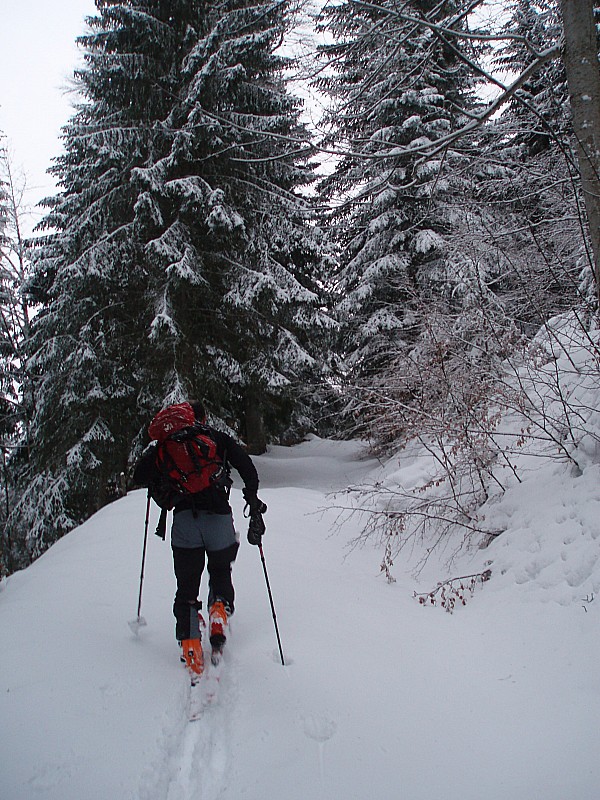 #3 Trace : Eric à l Trace : Eric à l'action dans la forêt