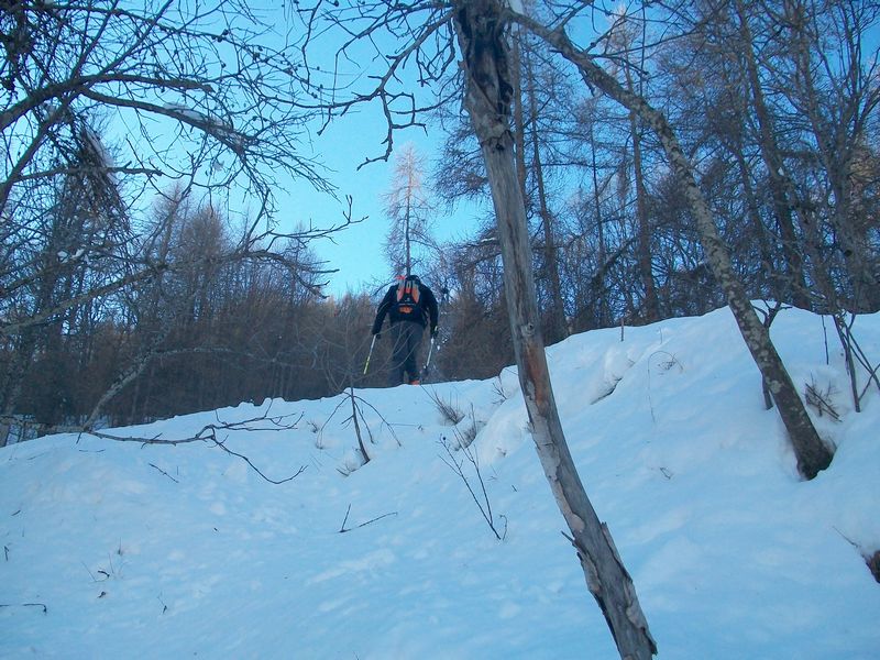 #3 DANS LA FORET : PAS BEAUCOUP DE NEIGE !!! DANS LA FORET : PAS BEAUCOUP DE NEIGE !!!