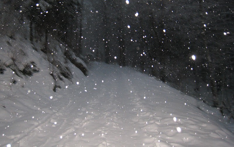#1 Départ du Pont des Allemands : Chutes de neige jusqu Départ du Pont des Allemands : Chutes de neige jusqu'au sommet