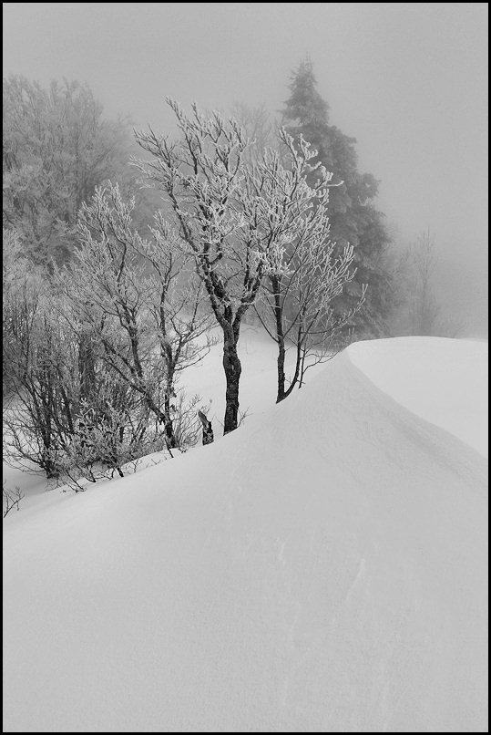 #2 congère du sommet : un peu de brouillard mais pas de jour de blanc congère du sommet : un peu de brouillard mais pas de jour de blanc