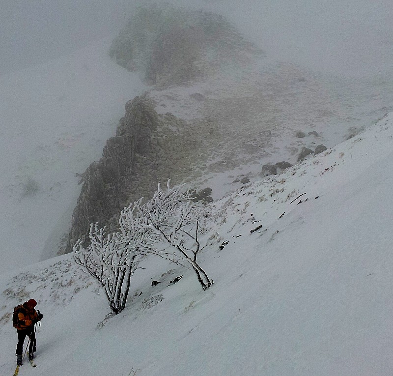 #5 Ambiance : Une lumière qui rend bien compte de l Ambiance : Une lumière qui rend bien compte de l'ambiance de la sortie. En arrière plan tout en haut de la photo (pour ceux qui ont de bons yeux) 3ème groupe de chamois.