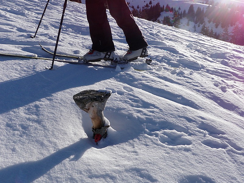 #3 balisage des crevasses : champignon nivologique balisage des crevasses : champignon nivologique