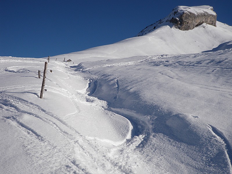 #2 bonne neige fraiche : half pipe bonne neige fraiche : half pipe