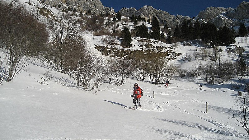 #4 cornafion : excellente neige cornafion : excellente neige
