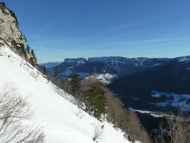 #6 Charteuse N : prochain objectif? Charteuse N : prochain objectif?