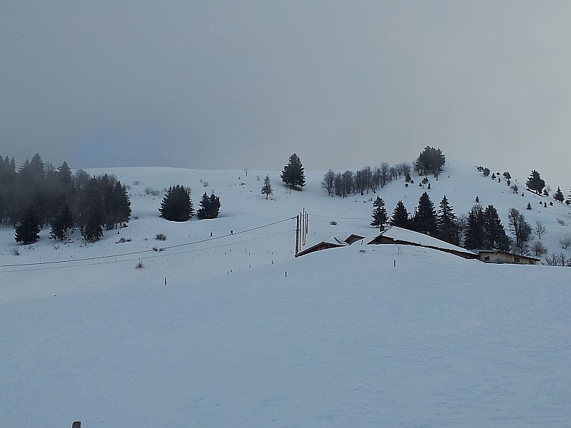 #3 Montagne de Sulens : Brouillard ++ Montagne de Sulens : Brouillard ++