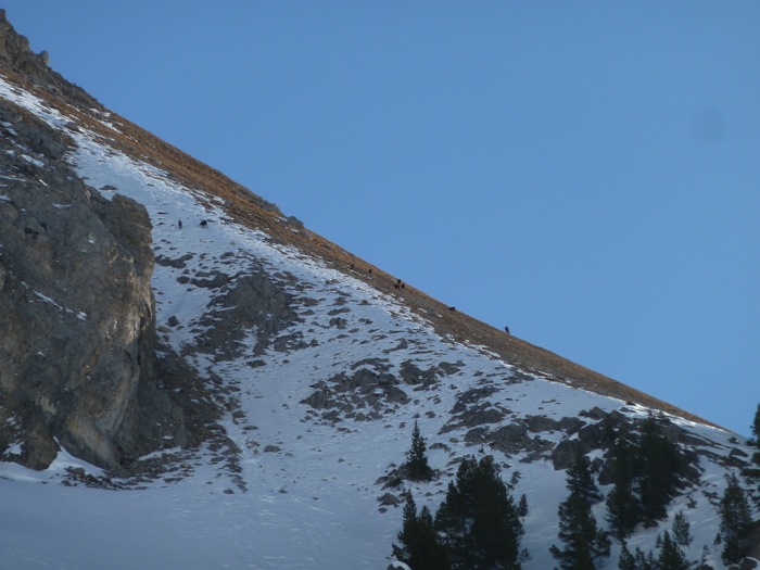 #2 Le vent a arraché la neige : du coup c Le vent a arraché la neige : du coup c'est Noël pour certains...