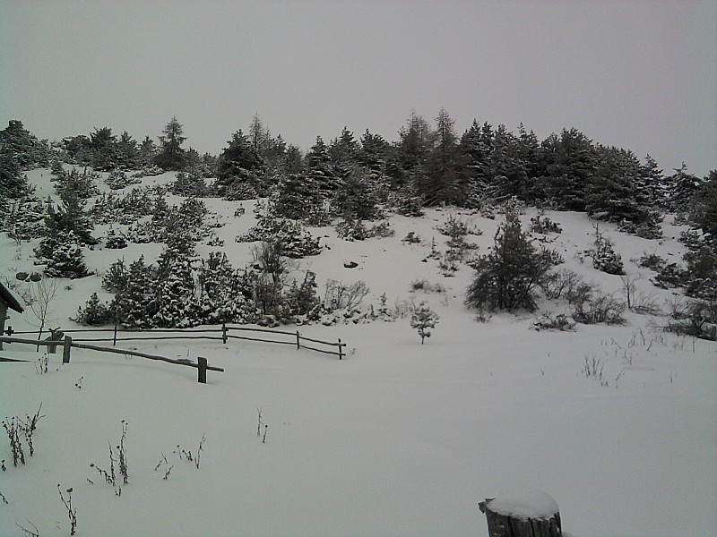#1 garrigue : feuuu!!! garrigue : feuuu!!!