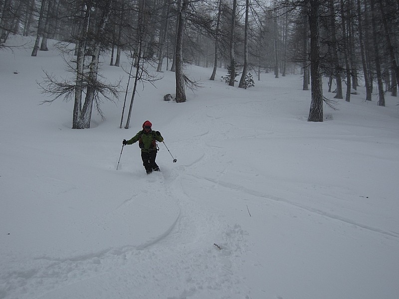 #5 caty : La descente est superbe malgré la neige et le vent violent en rafales. Des mini plaques se forment ici en pleine forêt. caty : La descente est superbe malgré la neige et le vent violent en rafales. Des mini plaques se forment ici en pleine forêt.