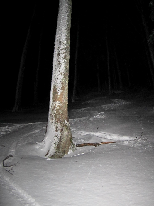 Tour du propriétaire : Du tres bon ski a la lueur des leds dans de la  belle foret