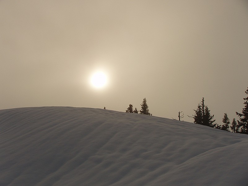 #2 va t va t'il percer ? : le soleil a lui aussi du mal a sortir du brouillard.