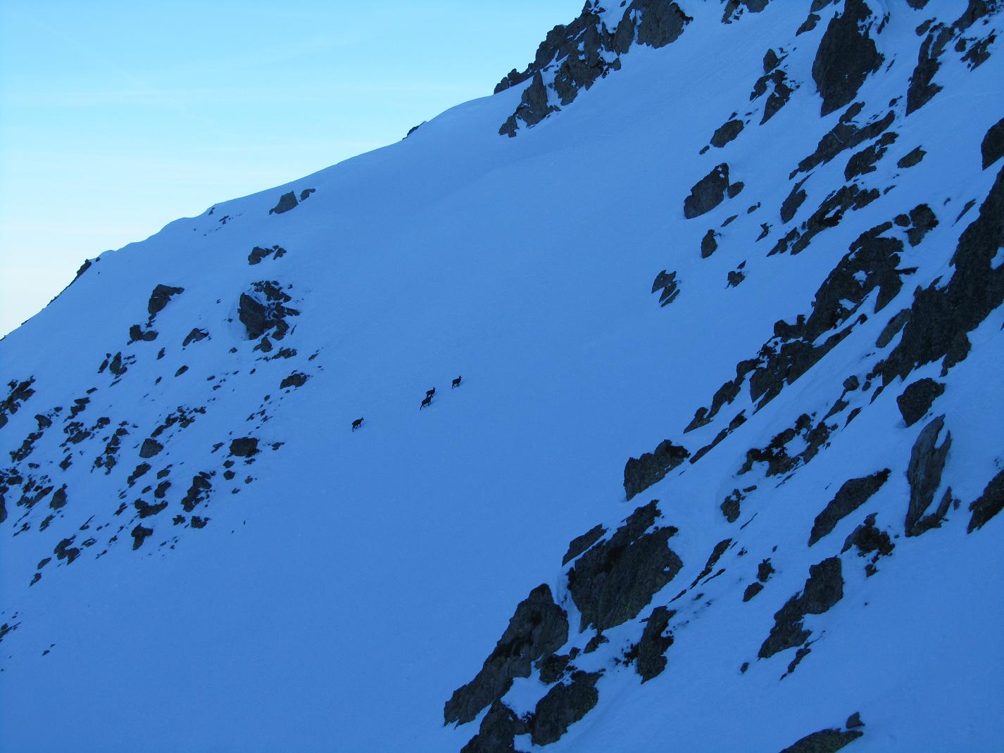 #14 Col du Morétan : Mais qu Col du Morétan : Mais qu'est ce qu'ils foutent ici ?