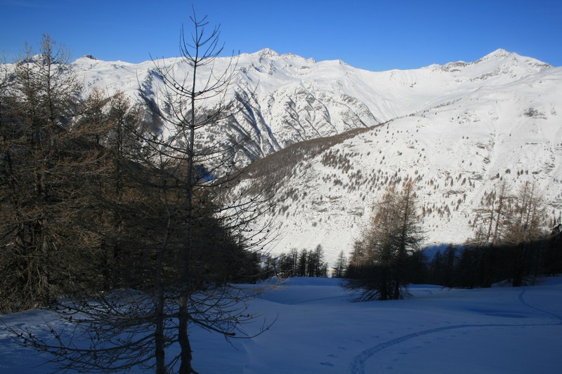 #1 Au-dessus de la forêt : premiers rayons du soleil. Au-dessus de la forêt : premiers rayons du soleil.
