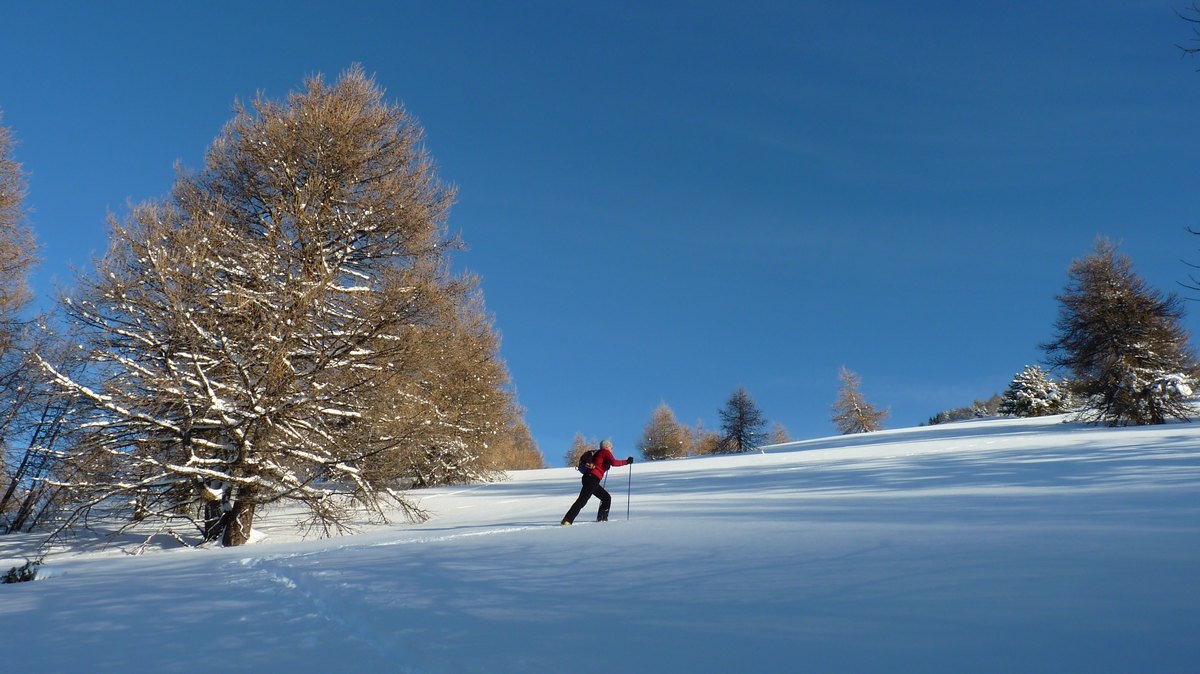 #1 Nous arrivons au soleil : Avec des belles couleurs Nous arrivons au soleil : Avec des belles couleurs