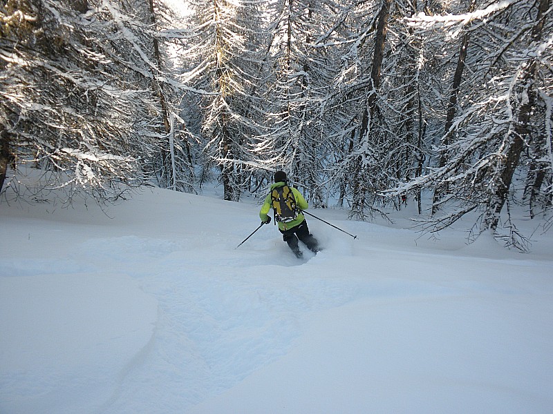 #8 dans les bois : jean notre compagnon de sortie s dans les bois : jean notre compagnon de sortie s'en donne à coueur joie...