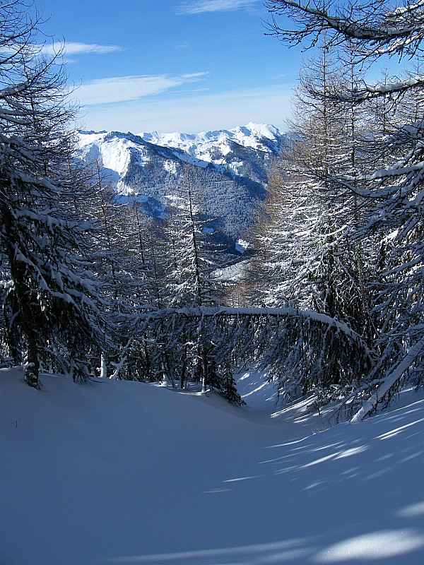 #3 Ma petite "combe" : toujours aussi Safe dans la forêt (parce qu Ma petite "combe" : toujours aussi Safe dans la forêt (parce qu'en haut, méfi !!!!!!!)