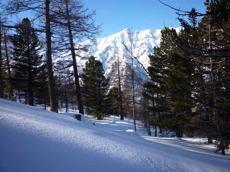 #2 Montée : Superbe paysage à la montée. Montée : Superbe paysage à la montée.