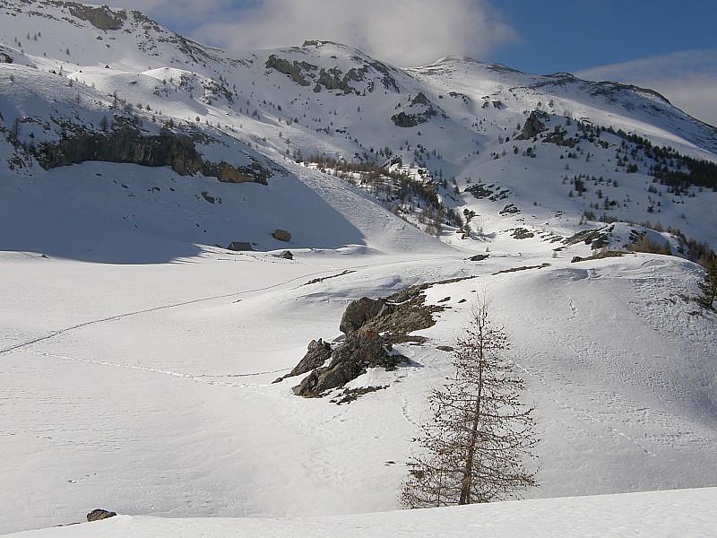 #2 Dans le plat avant les dernièr : Longue rando avec la piste forestière, mais un raccourci coupe pas mal de lacets en suivant une croupe; par contre pas très aisé à skis par endroits! Sinon à faire surtout pour le point de vue ,unique, au-dessus de Sa Dans le plat avant les dernièr : Longue rando avec la piste forestière, mais un raccourci coupe pas mal de lacets en suivant une croupe; par contre pas très aisé à skis par endroits! Sinon à faire surtout pour le point de vue ,unique, au-dessus de Sa
