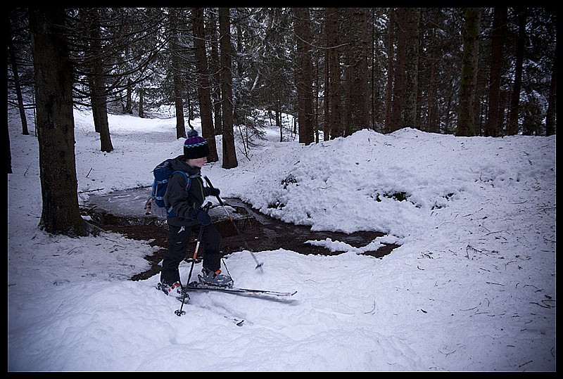 #4 l l'aventure dans la forêt : descente dans la forêt