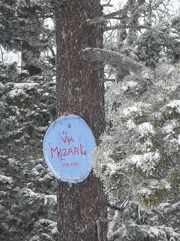 #10 Mozart : Via Ferrata?? Mozart : Via Ferrata??