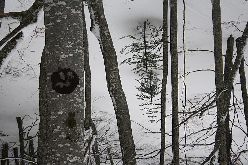 #9 Smiley ou fantôme ? : Léger penchage pour les besoins de la photo... Smiley ou fantôme ? : Léger penchage pour les besoins de la photo...