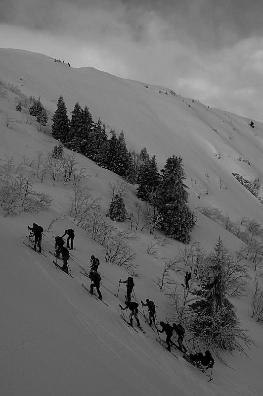#7 sans trucage : l sans trucage : l'arbre et là pour montré la verticalité...