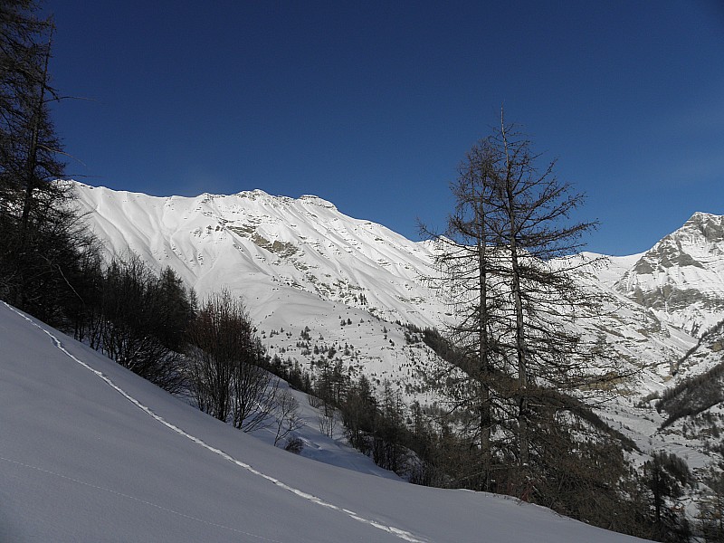 #1 Montée agréable en fôrêt. Montée agréable en fôrêt.