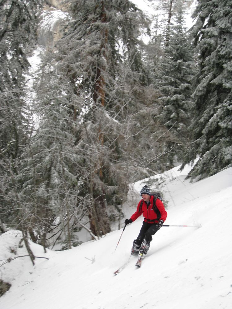 #5 la meilleure neige du jour, c la meilleure neige du jour, c'est dans la foret