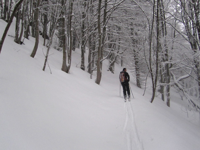 #3 Drumont et Tête de Fellering : Ambiance hivernale dans la foret vosgienne Drumont et Tête de Fellering : Ambiance hivernale dans la foret vosgienne