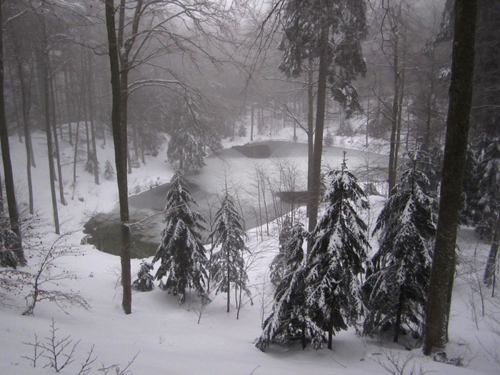 #2 Drumont et Tête de Fellering : L Drumont et Tête de Fellering : L'étang du Drumont