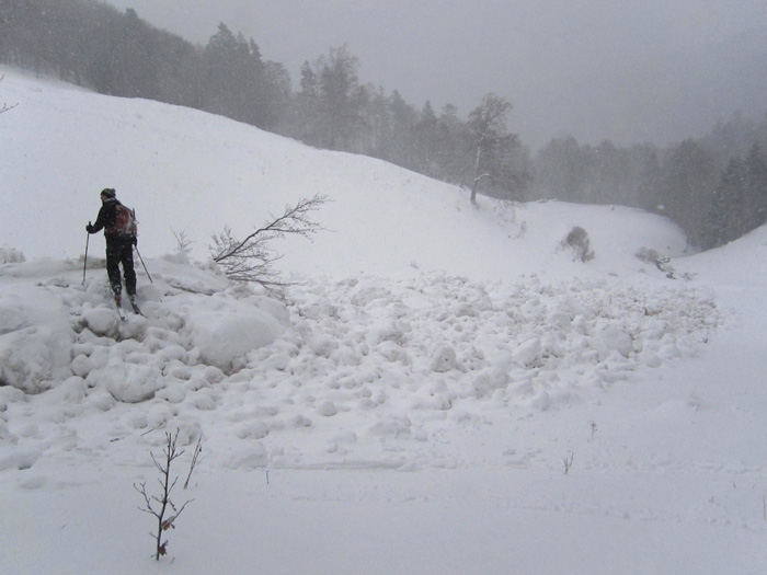 #4 Drumont et Tête de Fellering : Plaque de fond partie dans la Combe du Drumont Drumont et Tête de Fellering : Plaque de fond partie dans la Combe du Drumont
