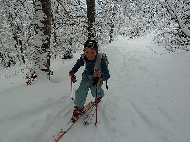 #2 Sur la piste en forêt : La montagne c Sur la piste en forêt : La montagne c'est pentu