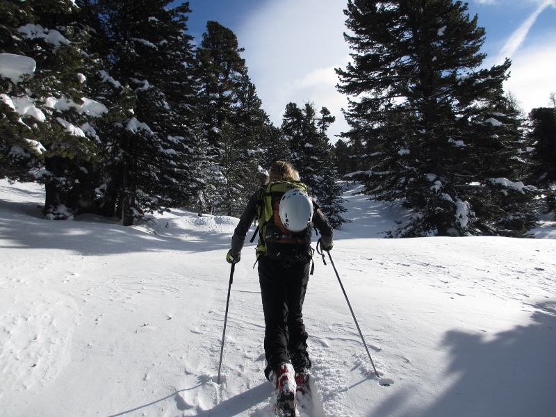 #2 Belle neige : Bonne à tracer. Belle neige : Bonne à tracer.