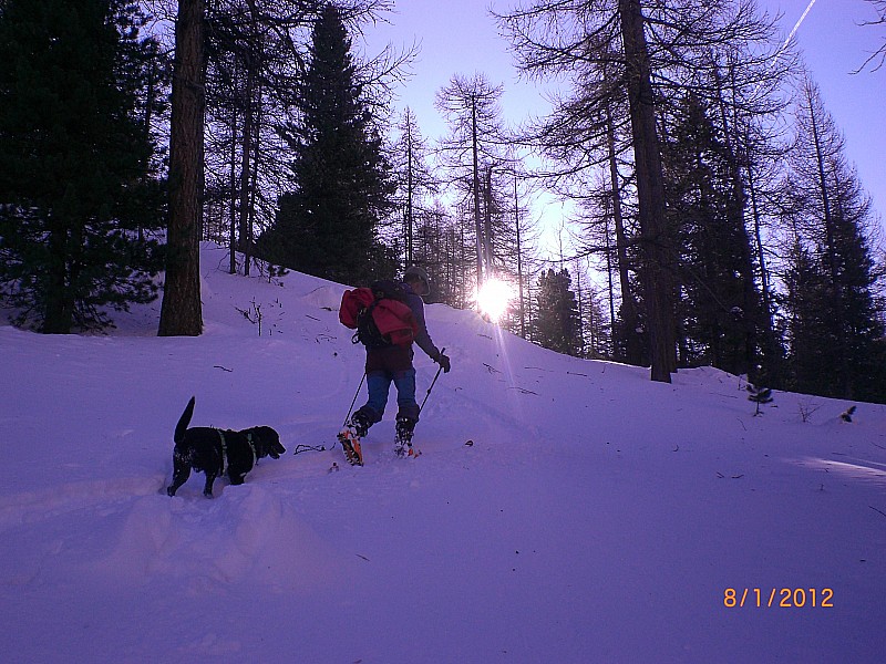 #6 Crête de Brusas : Bois des Ayes. Crête de Brusas : Bois des Ayes.