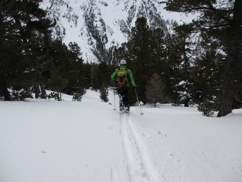 #5 Dans le bois : Des Ayes Dans le bois : Des Ayes