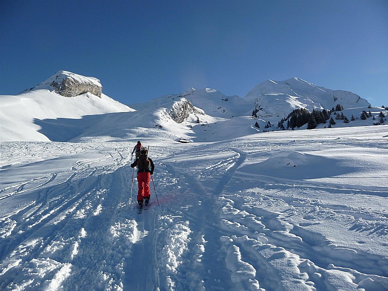 #1 Col de Tulle : Itinéraire en vue, tout comme le Charvin ! Col de Tulle : Itinéraire en vue, tout comme le Charvin !