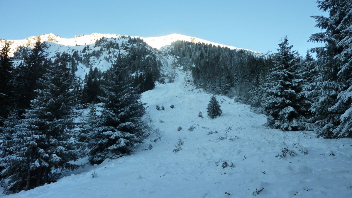 #17 Jas des Lièvres SE : enorme avalanche descendue du Jas des Lièvres qui obstrue en partie le boarder cross Jas des Lièvres SE : enorme avalanche descendue du Jas des Lièvres qui obstrue en partie le boarder cross