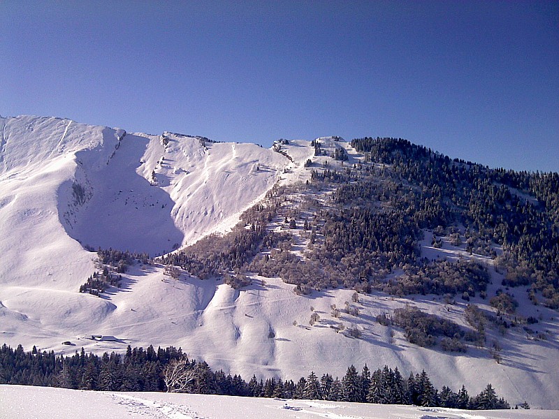#11 Itinéraire de la matinée : Pour monter préférer la trace de gauche, celle de droite est un peu sanglier... Itinéraire de la matinée : Pour monter préférer la trace de gauche, celle de droite est un peu sanglier...