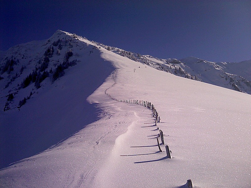 Conditions Beau Mollard : Tentant , mais ...